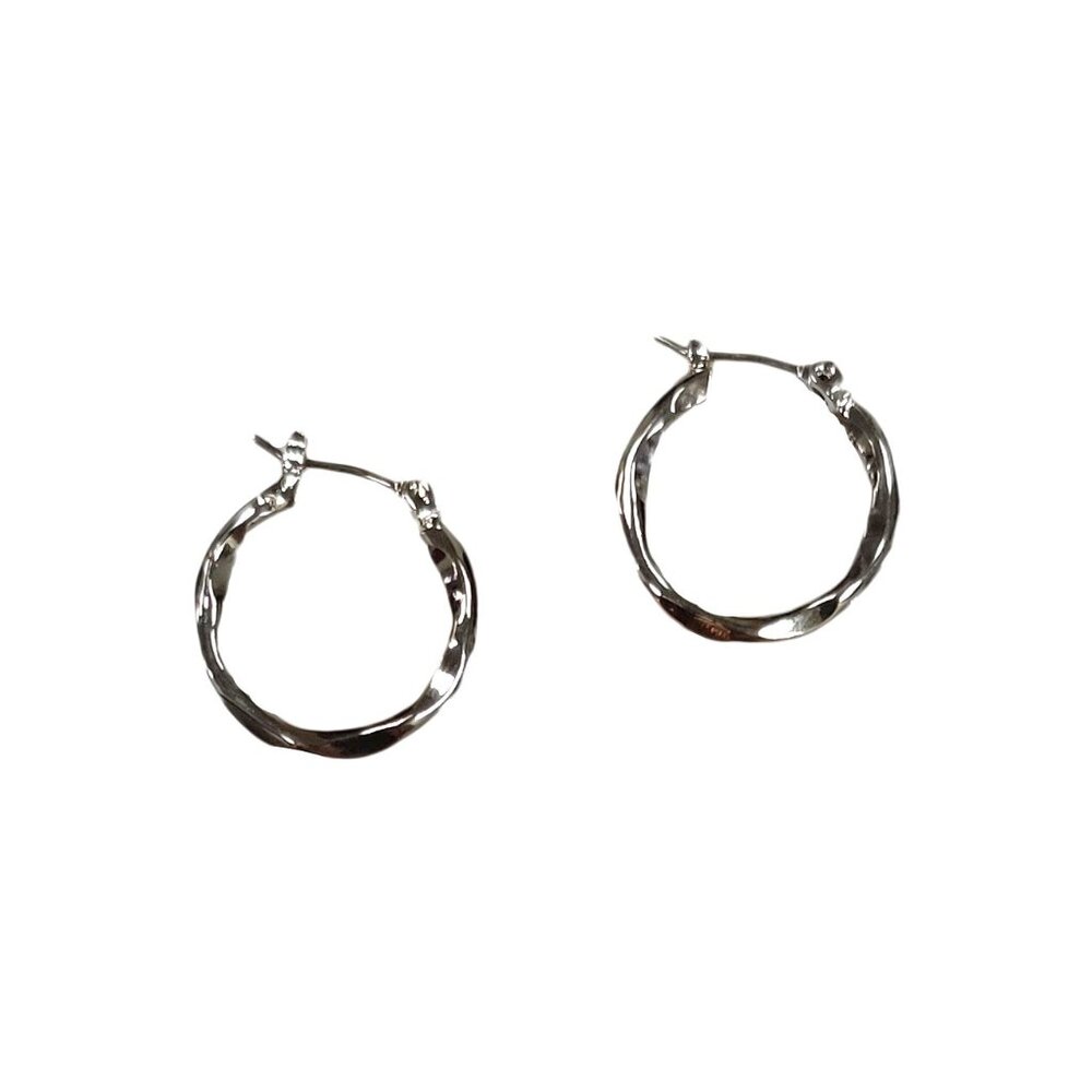 Tigerstars Silver Artistic Hoop Pin Catch Earrings